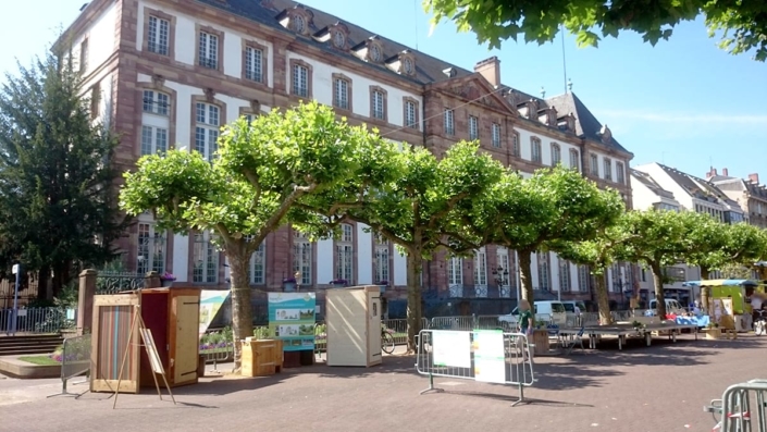 Marché aux puces place Broglie à Strasbourg - toilettes sèches et urinoir individuel
